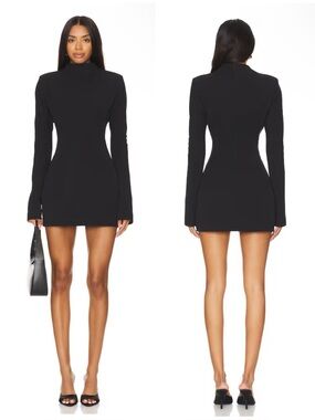 AEXAE Wool Contoured Turtleneck Long Sleeve Mini Dress in Black Size XXS